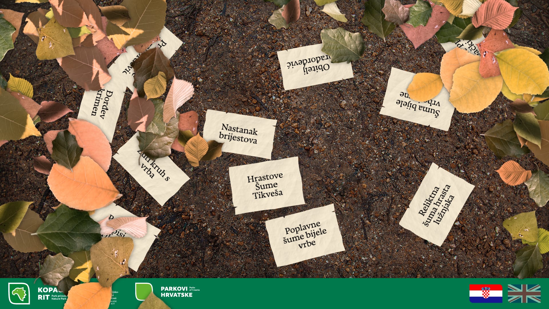Leaves brushed aside on the forest floor, revealing papers about Prince Đorđe and the forests of Tikveš.