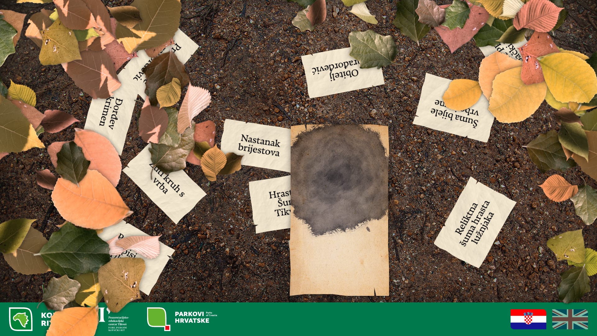 A paper opening: ink spreads across it among the leaves.