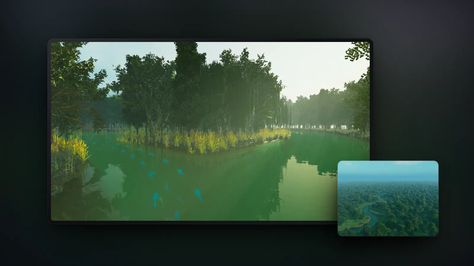 Two stills from the River succession films on screens: a green pond fringed with reeds and willows, and an aerial view of a river winding through forest.