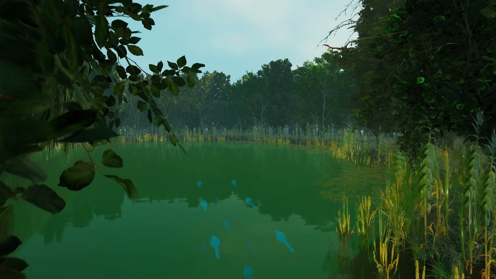 Still from the film: a green pond framed by overhanging leaves.