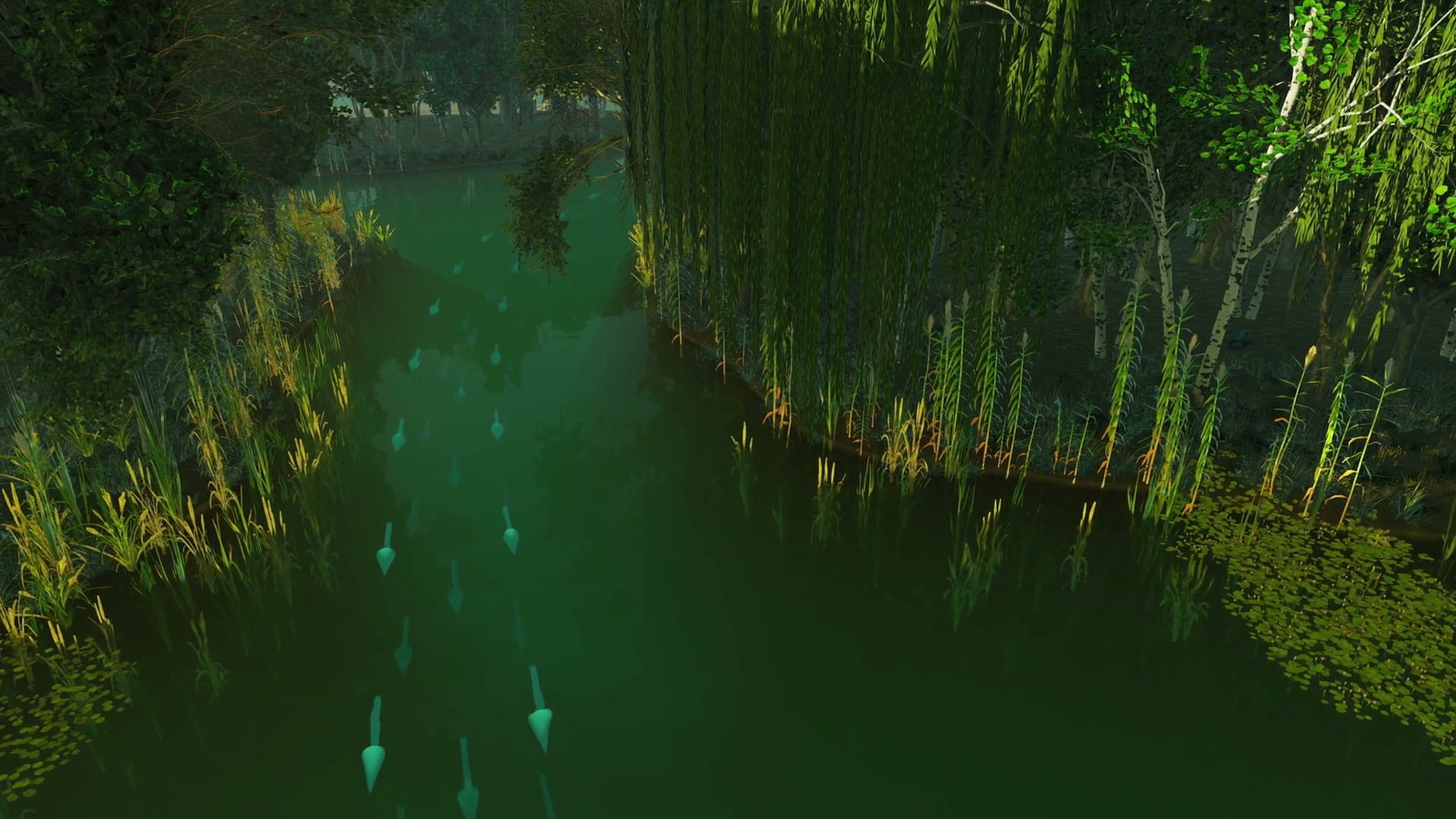 Still from the film: a channel lined with reeds and willows, with fish in the clear water.
